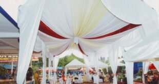 Harga Sewa Tenda: Panduan Lengkap untuk Acara Anda